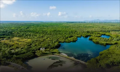 Alternative à la Smart City : le Collectif mauricien pour Roches Noires vient avec ses propositions