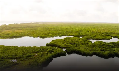 Alternative à la Smart City : un projet de préservation écologique proposé à Roches-Noires