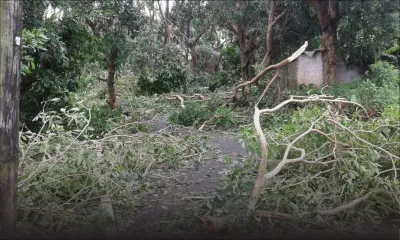 Post-cyclone Gelena : Soutenez financièrement Rodrigues via le Prime Minister’s Relief Fund