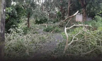 Après le passage de Gelena à Rodrigues : 90 % des foyers privés d’électricité, des officiers du CEB dépêchés dans l’île