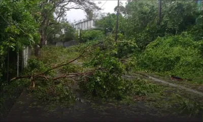 [En images] Désolation à l'île Rodrigues après le passage du cyclone tropical intense Joaninha