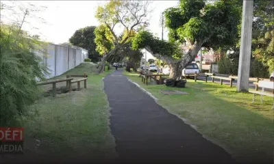 Rose-Hill : un parc composé de 100 000 plantes aménagé au coût de Rs 100 millions