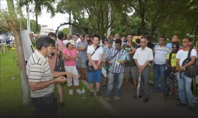 Metro Express : la résistance s'organise contre l'abattage des arbres à Vandermeersch, Rose-Hill