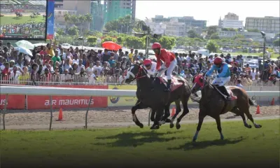  Hippisme : Hard Day's Night domine le favori dans la course principale