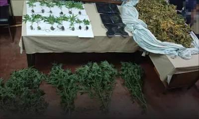 En liberté conditionnelle pour trafic de drogue : un suspect accuse un faux inspecteur de police de racket 