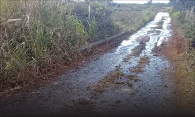 [En images] Des familles dans le Nord doivent emprunter cette rue qui est dans un sale état