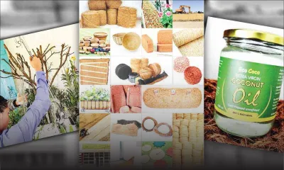 Ruvinya Ltd: Offering an eco-friendly alternative to plant growing