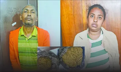 Sur la piste d’un réseau dans le Nord : un couple arrêté avec du cannabis valant Rs 2,2 millions 