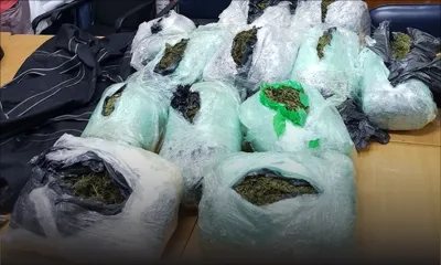 72,55 kilos de gandia importés de La Réunion : les skippers interceptés au Morne étaient sous surveillance 