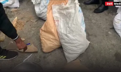 Opération de la SST à La Gaulette : saisie de concombres de mer, cartouches de cigarettes, ainsi que d'ailerons de requin, entre autres