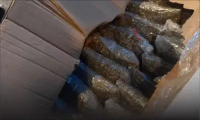 Saisie de cannabis d’une valeur de Rs 166 millions en provenance d’Afrique du Sud : la cargaison adressée à un habitant de Rivière-Noire