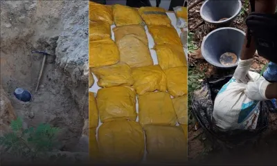 Saisie record de drogue : plusieurs suspects dans le collimateur de l’Adsu