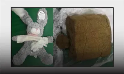 Rs 156 000 de haschich cachés dans une peluche mènent à l’arrestation d’un serveur du Touessrok 