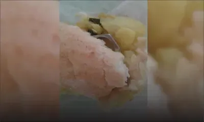 Insolite : un écrou découvert dans un samoussa