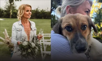 Mowri quitte sa vie de chienne errante à Maurice pour un foyer aimant en Hollande