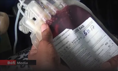 Don de sang à Tamarin : 140 pintes de sangs récoltées ce dimanche 