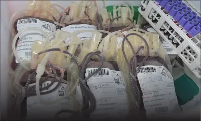 Dons de sang : plus de 250 pintes récoltées ce samedi 