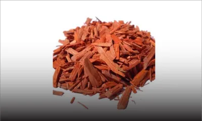 Du bois de santal volé à Case-Noyale