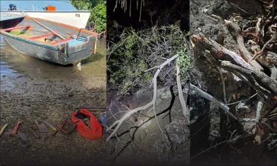 Au large de Bain-de-Rosnay : 20 kilos de bois santal saisis sur une pirogue, un suspect arrêté