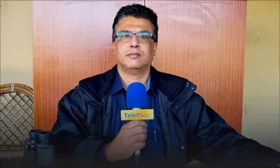 Bonjour Champ-de-Mars - Deux «barrier trials», pas beaucoup de galops