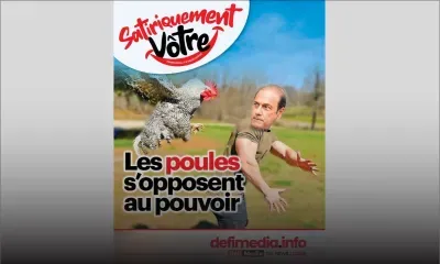 [Satiriquement Vôtre] Les poules s’opposent au pouvoir