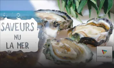 [Saveurs nu lamer] Recette d’huîtres gratinées à la sauce hollandaise 