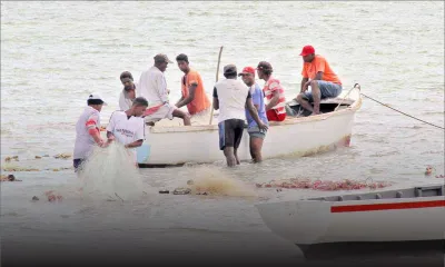 Seafood processing: Value-added products highly encouraged