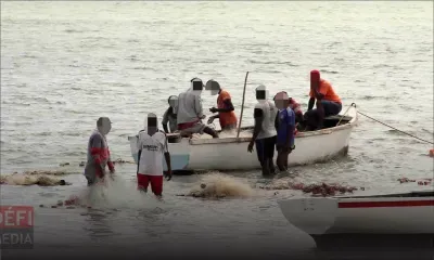 Ouverture de la pêche à la senne ce dimanche 1er mars