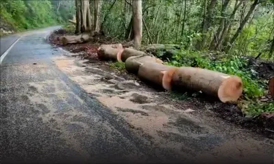 La route de Choisy à Chamarel est désormais praticable