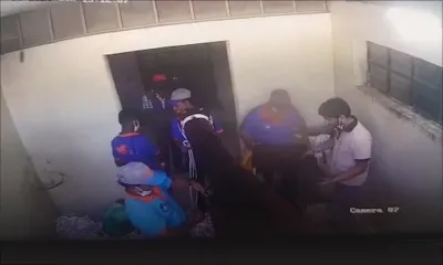 Exclusif : les images de la caméra dans le box du cheval El Patron, traité au mentholatum