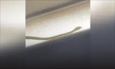 Serpent à bord: un avion de ligne malaisien dérouté