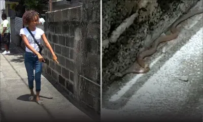 Cassis : une ado croit découvrir un « serpent » en pleine rue