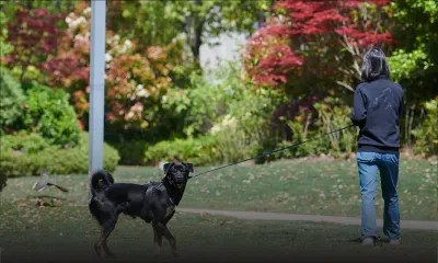 Covid en Chine: Shanghai assouplit à tâtons certaines restrictions