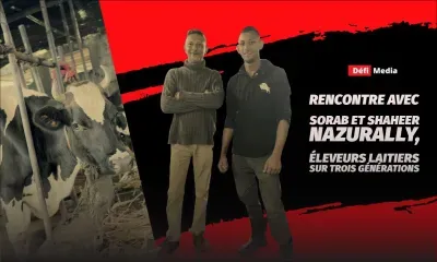 Rencontre avec Sorab et Shaheer Nazurally, éleveurs laitiers sur trois générations