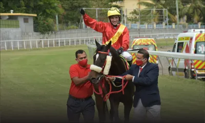 Hippisme : Seventh Silver le premier vainqueur à huis clos