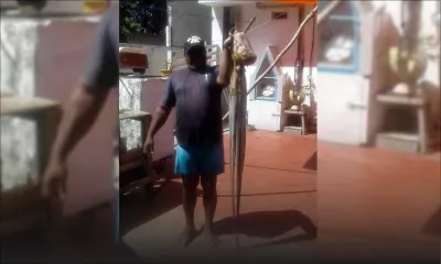 Grand-Port : il pêche une ourite de 9 kilos