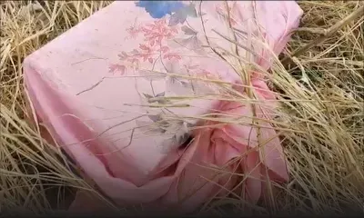 Le mystère d'un étrange «colis» résolu