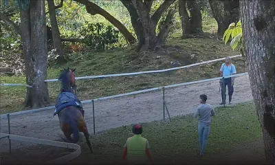 Warm Up : Matinée très animée au centre Guy Desmarais 