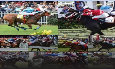 Le Défi-Turf : Best rides of the season 2019