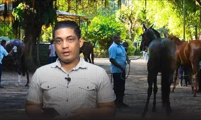 Warm Up : Flowerscape a repris du poils de la bête, Viking Trail se blesse