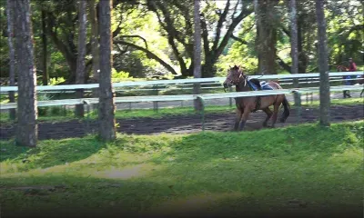 Padre Pio, crack annoncé, attire les regards