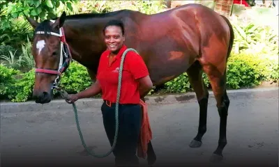 Au Centre Guy Desmarais (14/01/20): Plusieurs chevaux au 'light canter'!