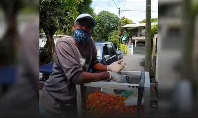 Dario, marchand de goyaves de Chine : «Travay gramatin pou nou manze tanto»