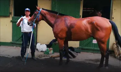 Plusieurs nouveaux en piste..