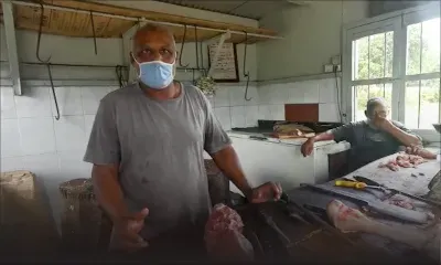 Reprise partielle des activités : les bouchers aux billots