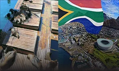 Cape Town cité de rêve