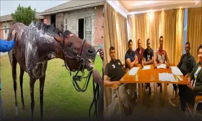 Praveen Nagadoo se confie sur les chances de Twist Of Fate dans le Sun Met