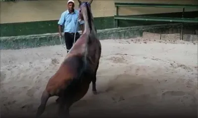 L'ambiance  à un mois du coup d'envoi de la saison 2020...