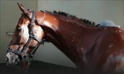 Ça chauffe au Champ de mars..