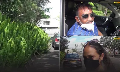 Les sapins naturels ont le vent en poupe